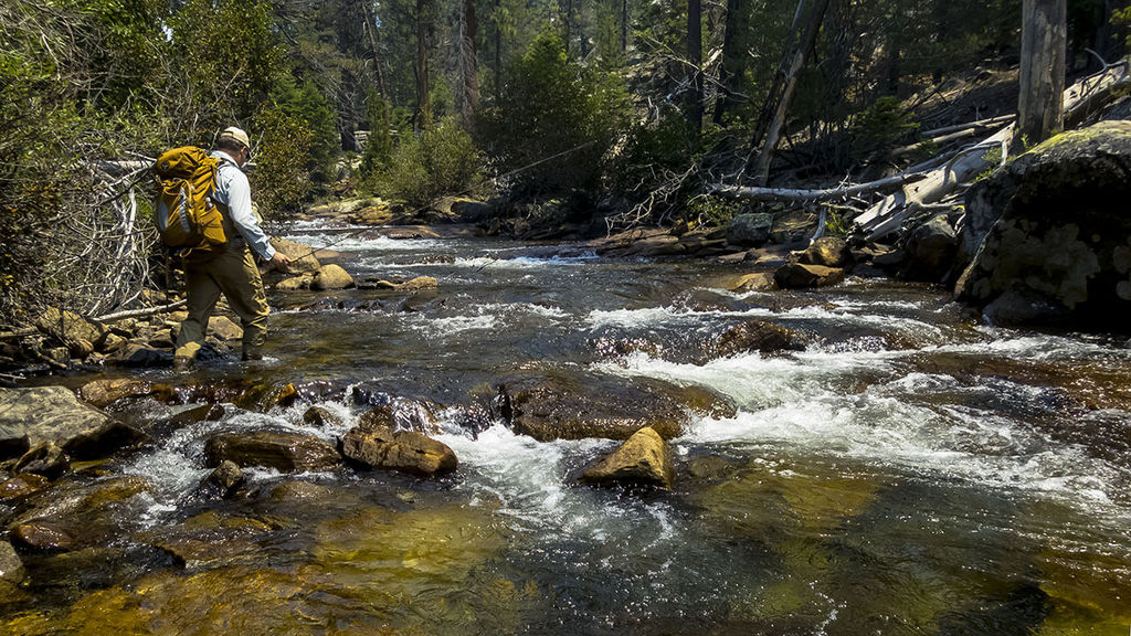 Ultralight Fly Fishing • Bear Creek 2015 (photo heavy)